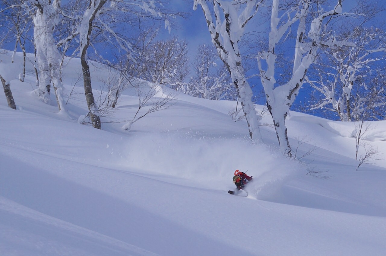 “Perfect Snow”  BY YUKI FURIHATA